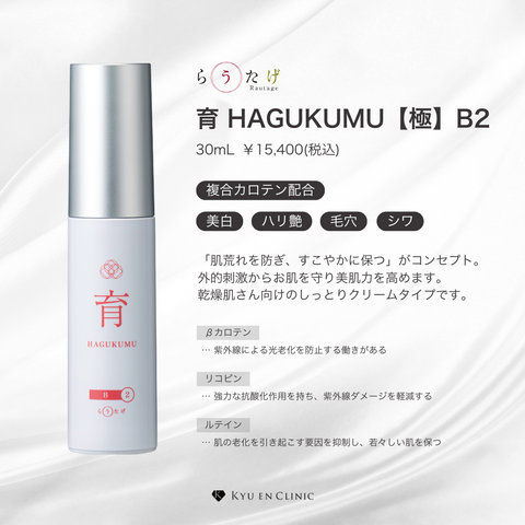 育 HAGUKUMU【極】B2